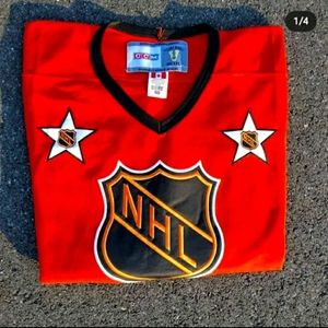 Wayne Gretzky jersey